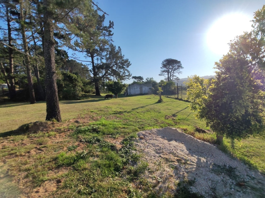 Commercial Property for Sale in Colleen Glen Eastern Cape